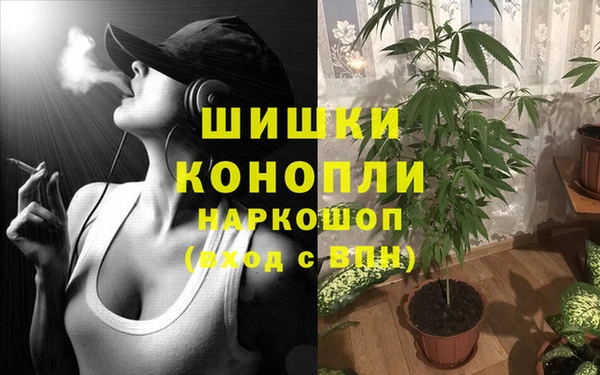 прущие крисы Гусиноозёрск