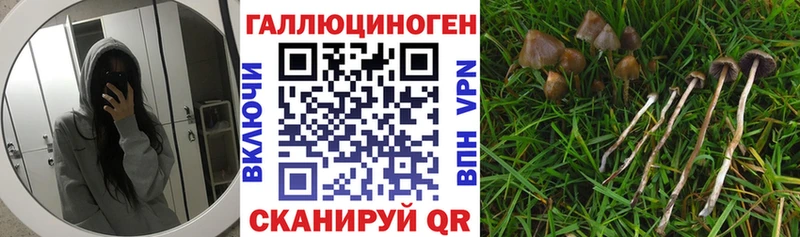 Галлюциногенные грибы мухоморы  Купить где  Хилок 